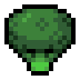 Fields of Mistria gift item: Broccoli