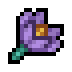 Fields of Mistria gift item: Crocus