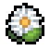 Fields of Mistria gift item: Daisy