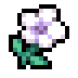 Fields of Mistria gift item: Temple Flower